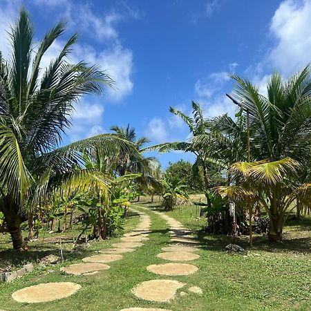 The Sea Cliff Hotel Resort & Spa Port Antonio Esterno foto