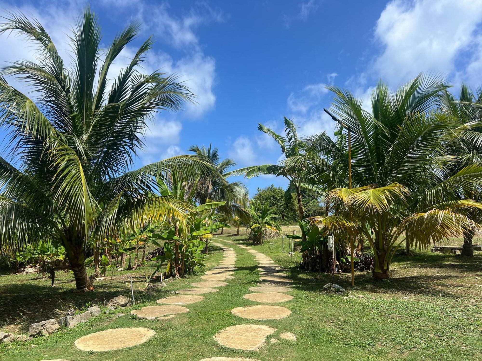The Sea Cliff Hotel Resort & Spa Port Antonio Esterno foto